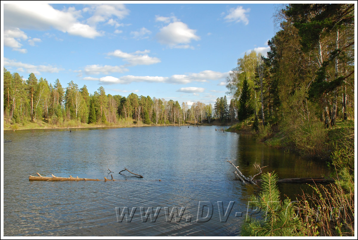 Залив Мариинского водохранилища